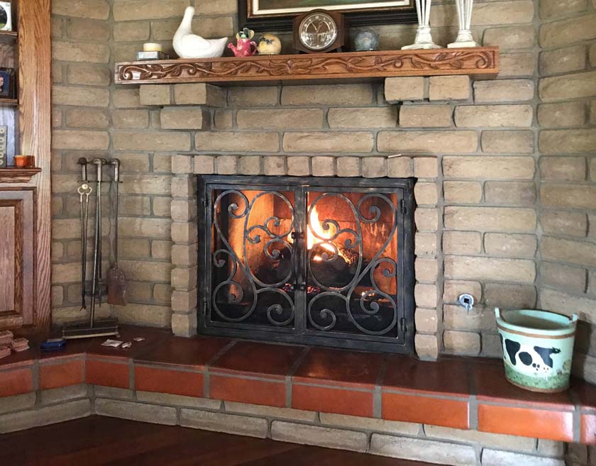 Fireplace Door FD009