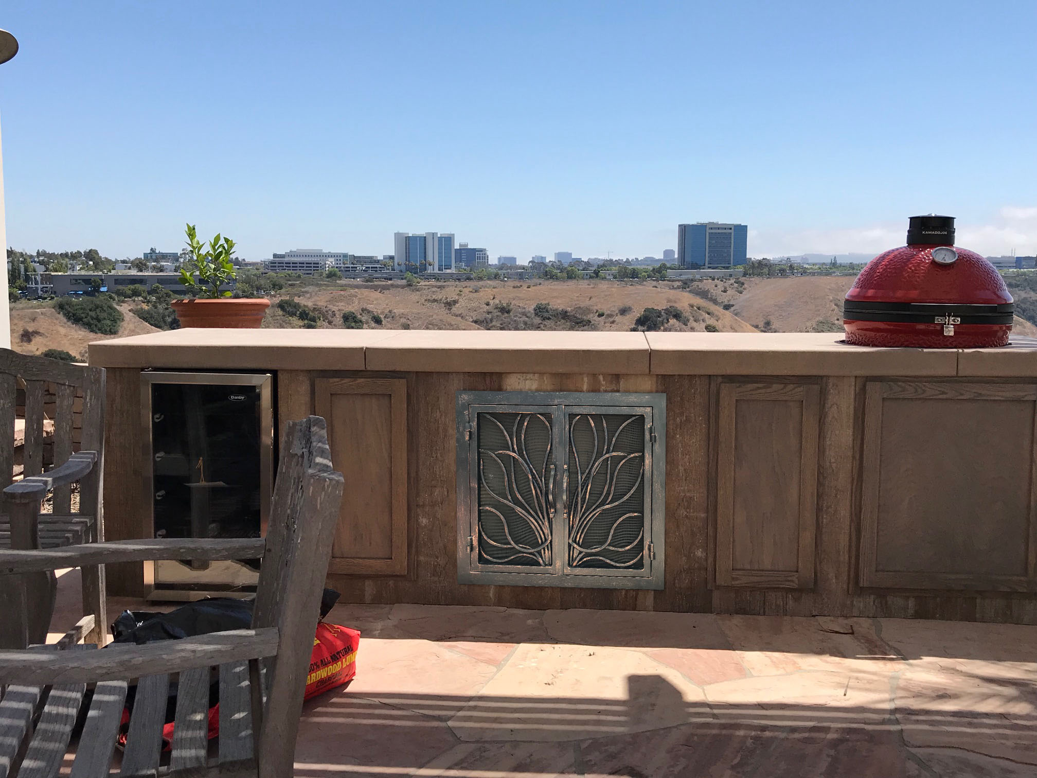 Fireplace Door FD138